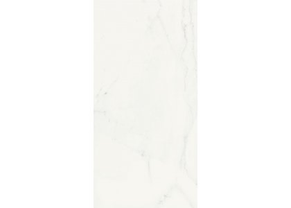 Гранит керамический italon charme deluxe 60х120 bianco michelangelo пат